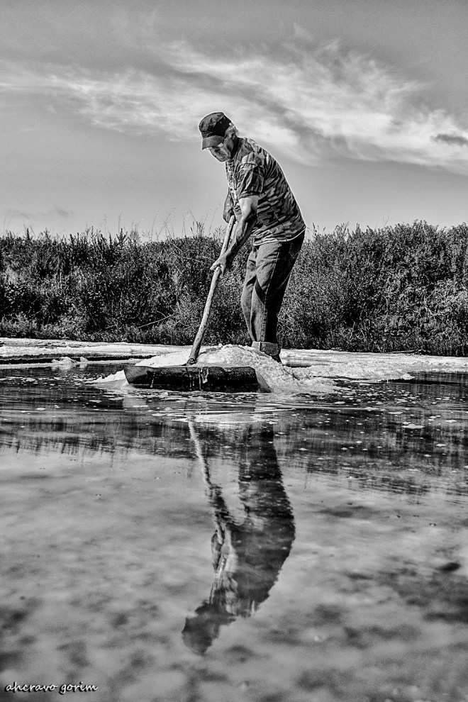 0 ahcravo_DSC_4603 s