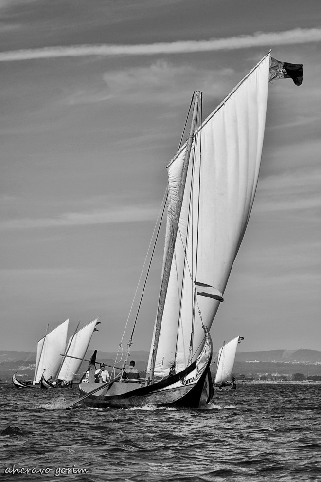 0 ahcravo_DSC_5595 s bw