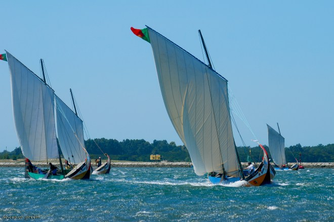 0 ahcravo_DSC_6406 regata moliceiros