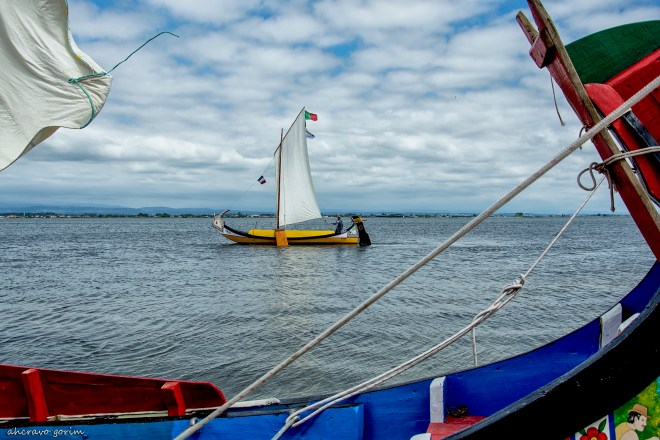 0 ahcravo_DSC1100.jpg