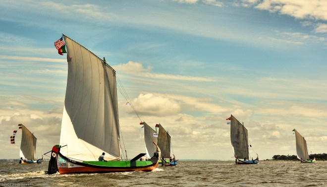 0 ahcravo_DSC_1142.JPG