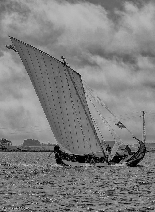 0 ahcravo_DSC_2195 bw