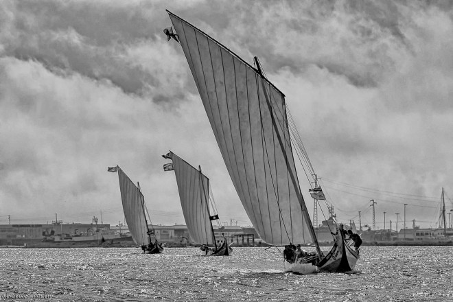 0 ahcravo_DSC_2201 s bw