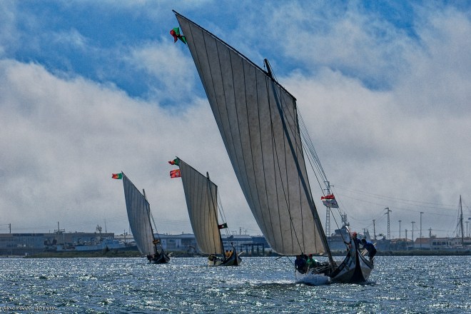 0 ahcravo_DSC_2201 s