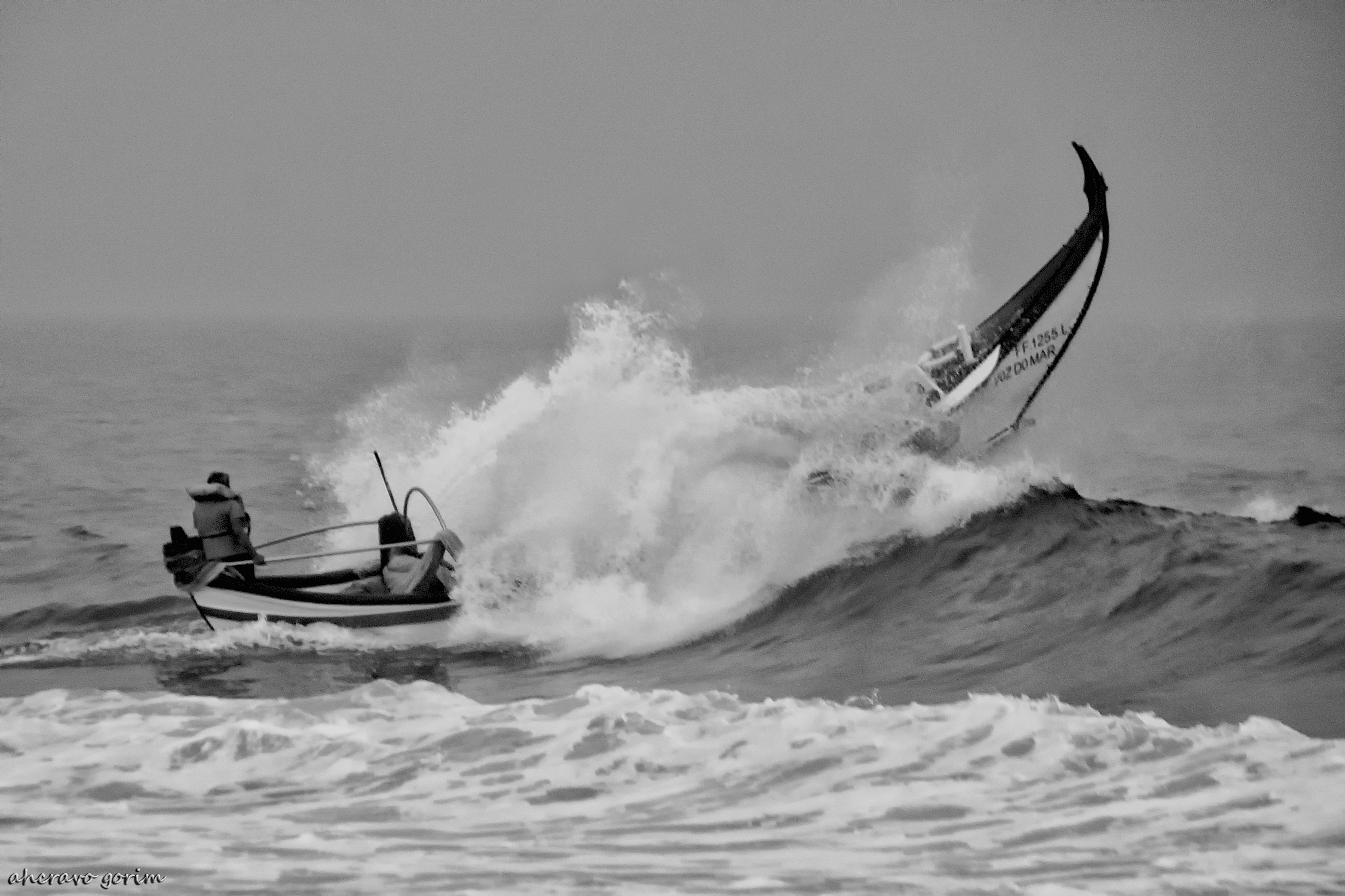 0 ahcravo_DSC_2354 s_costa de lavos_armando bw