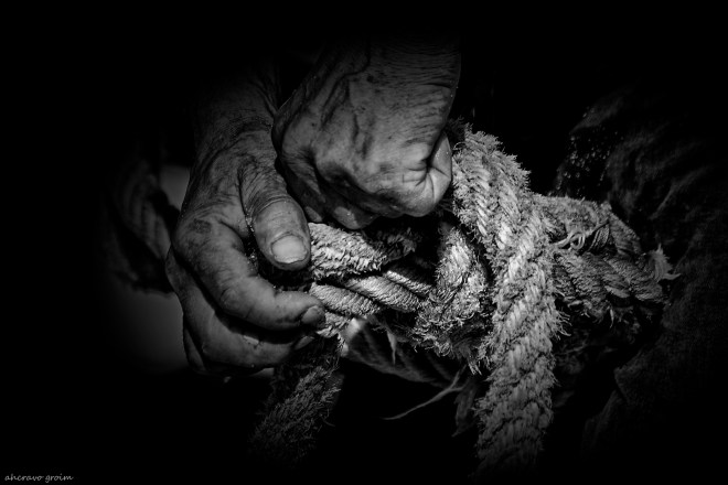 0 ahcravo_DSC_2881 s