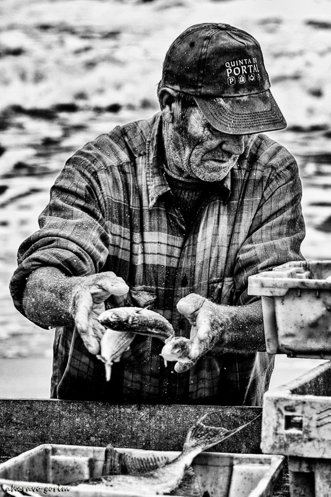 0 ahcravo_DSC_4551 marco 09 s bw1