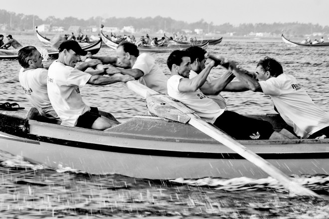 0 ahcravo_DSC_4002 s