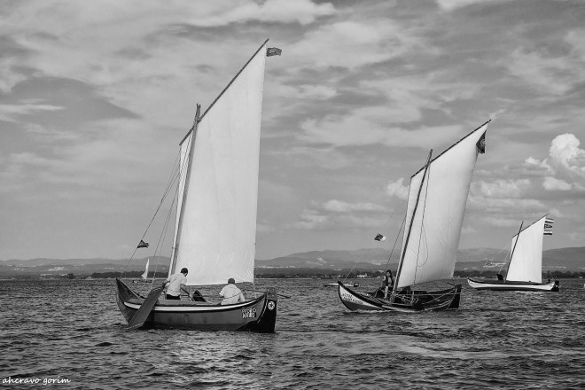 0 ahcravo_DSC4542 bw