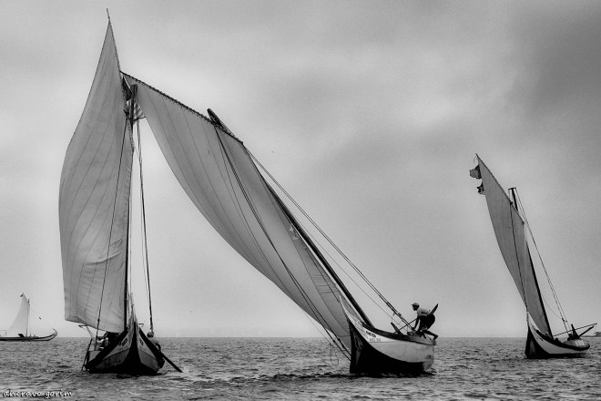 0 ahcravo_DSC4855 bw