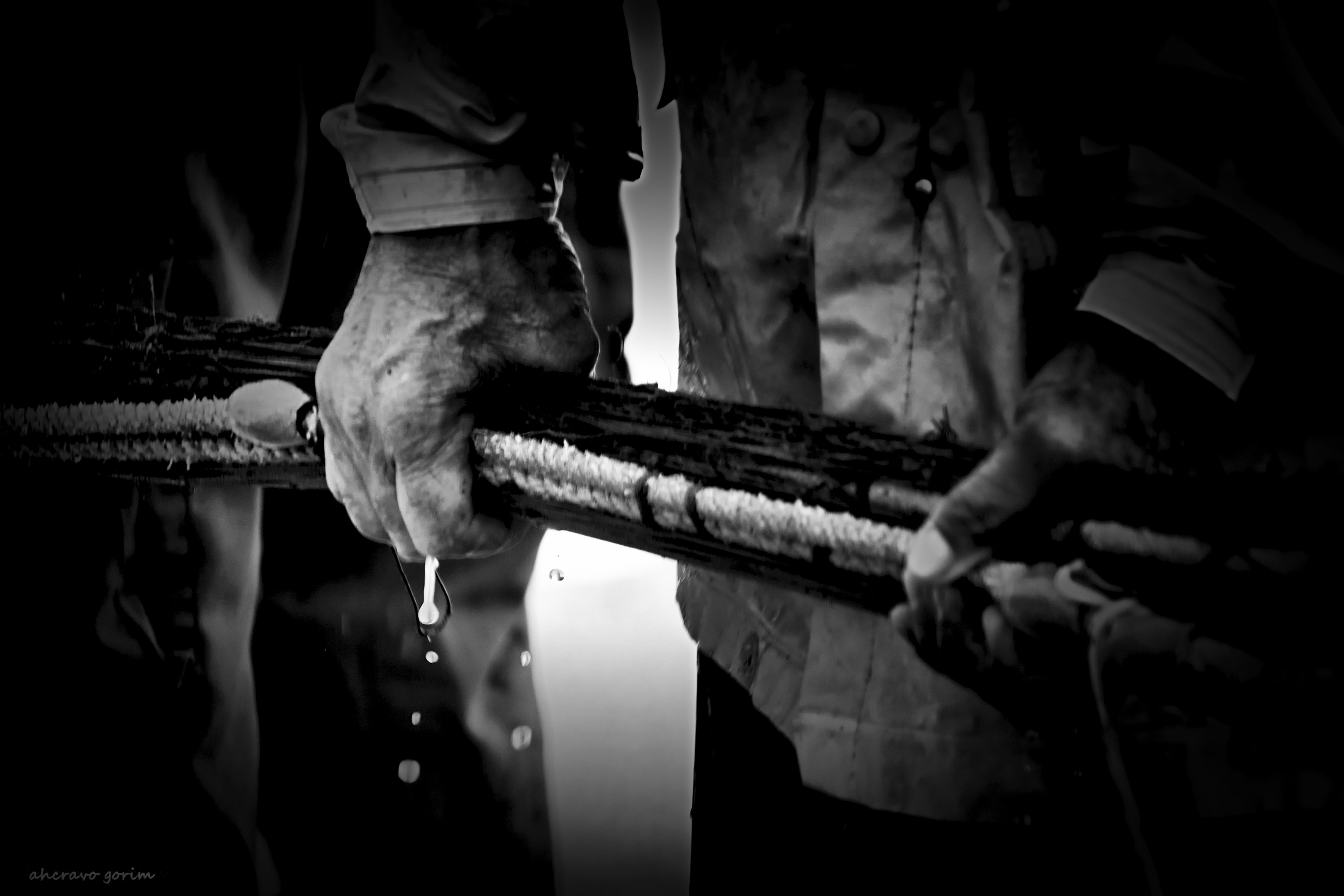 0 ahcravo_DSC_2436 s_costa de lavos