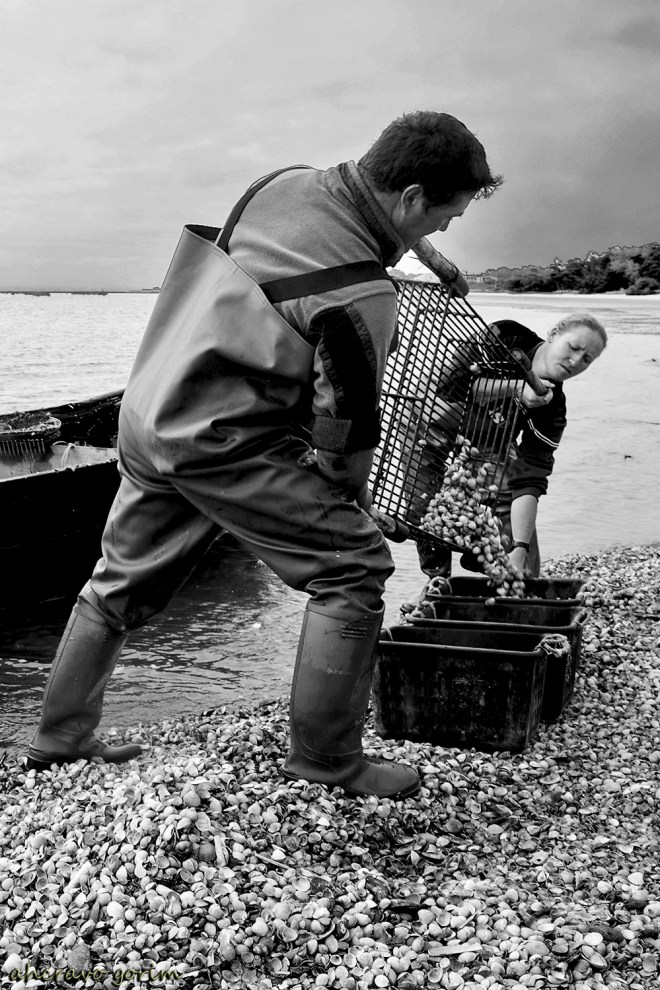 0 ahcravo_DSC_3520 s bw