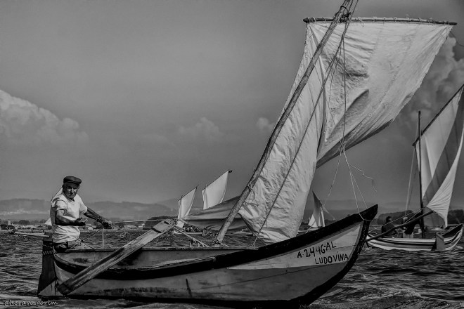 0 ahcravo_DSC_0572 bw