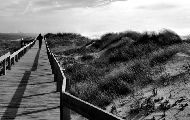 ahcravo_DSC_5057_leirosa_a sombra bw