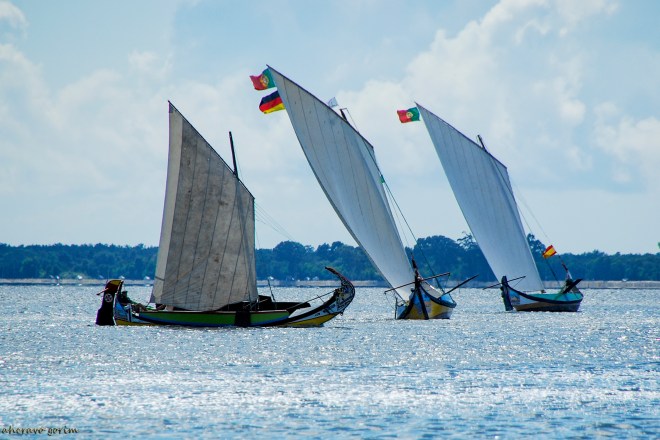 0 ahcravo_DSC_1446 s.jpg