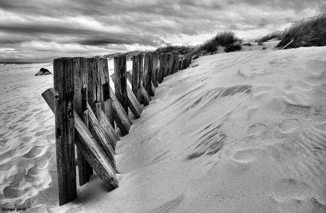 ahcravo_DSC_4901_praia da torreira bw