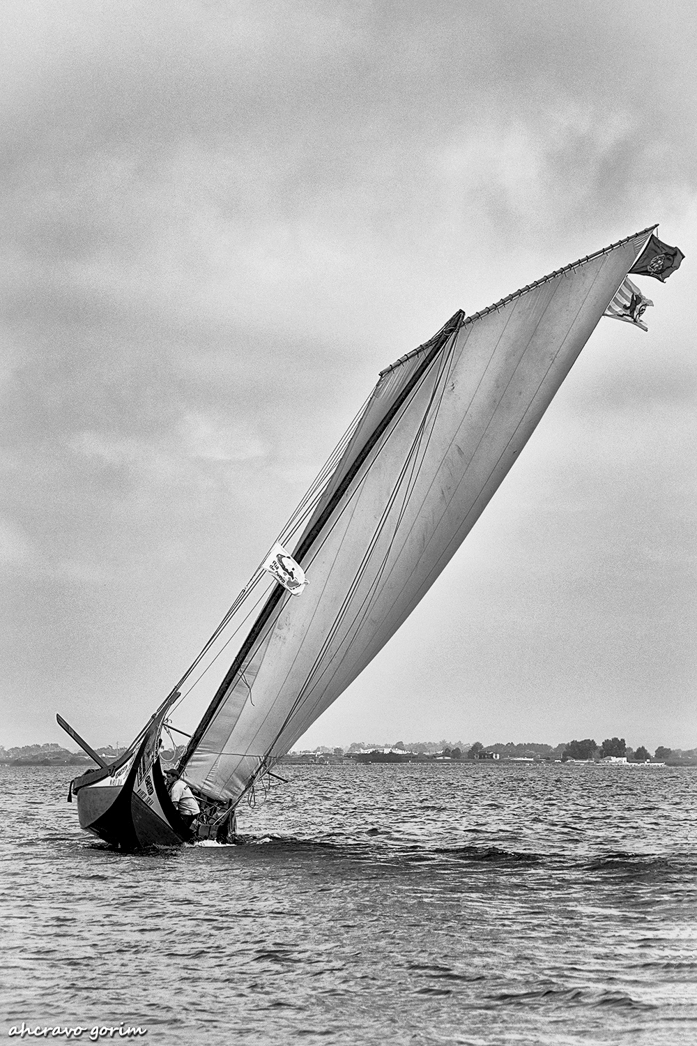 0 ahcravo_DSC4905 bw