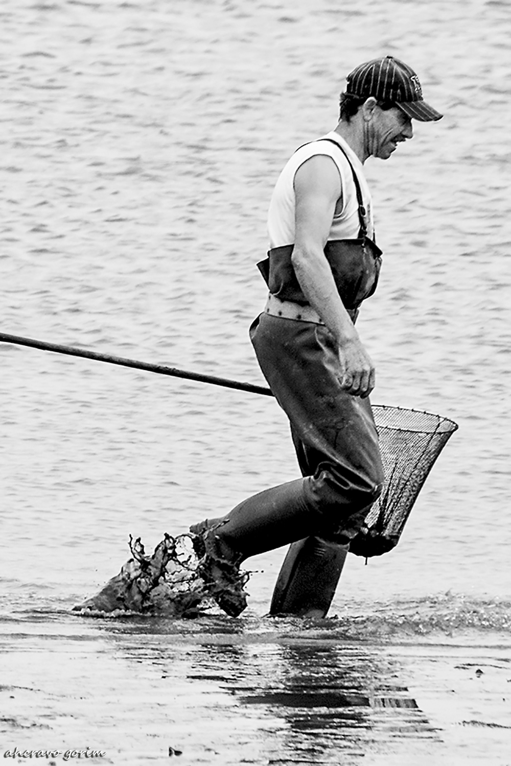 0 ahcravo_DSC_7505 s