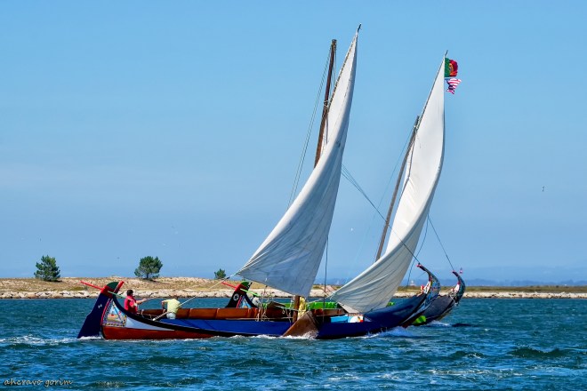 0 ahcravo_DSC_4570 s