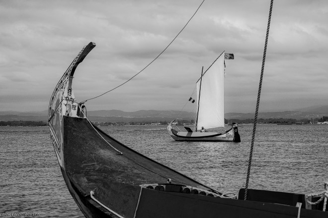 0 ahcravo_dsc1104 bw1