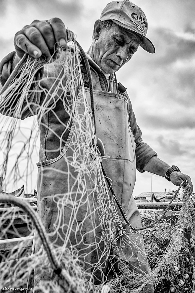 0 ahcravo_dsc2737 bw