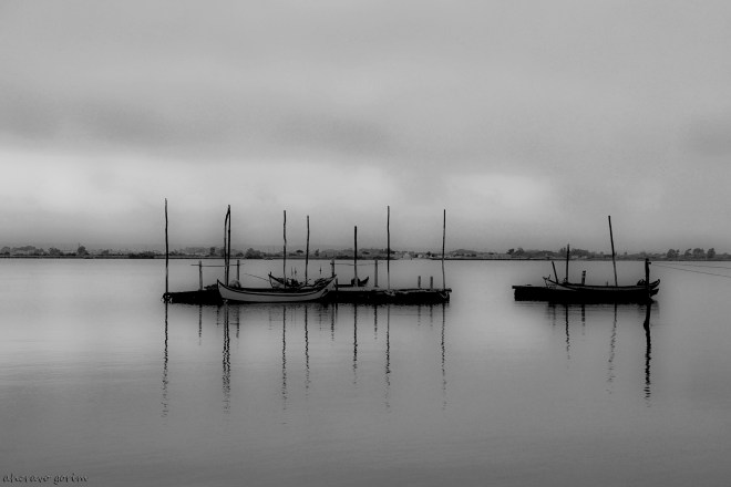 0 ahcravo_dsc_2232 bw