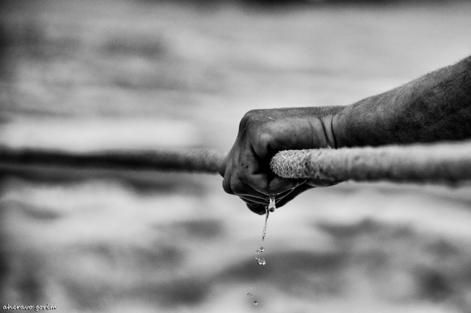 0 ahcravo_dsc_2505 s