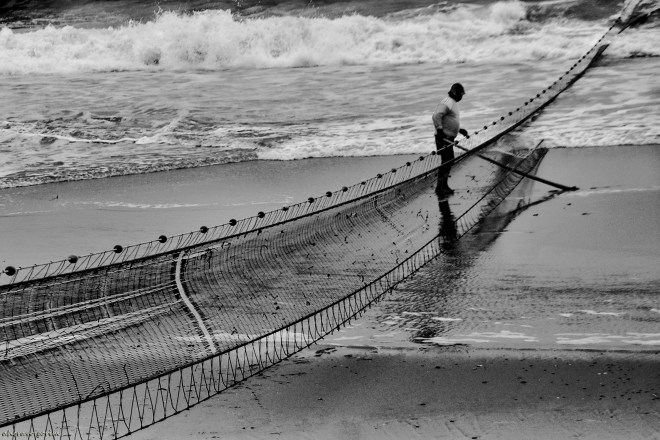 0 ahcravo_dsc_2593 s