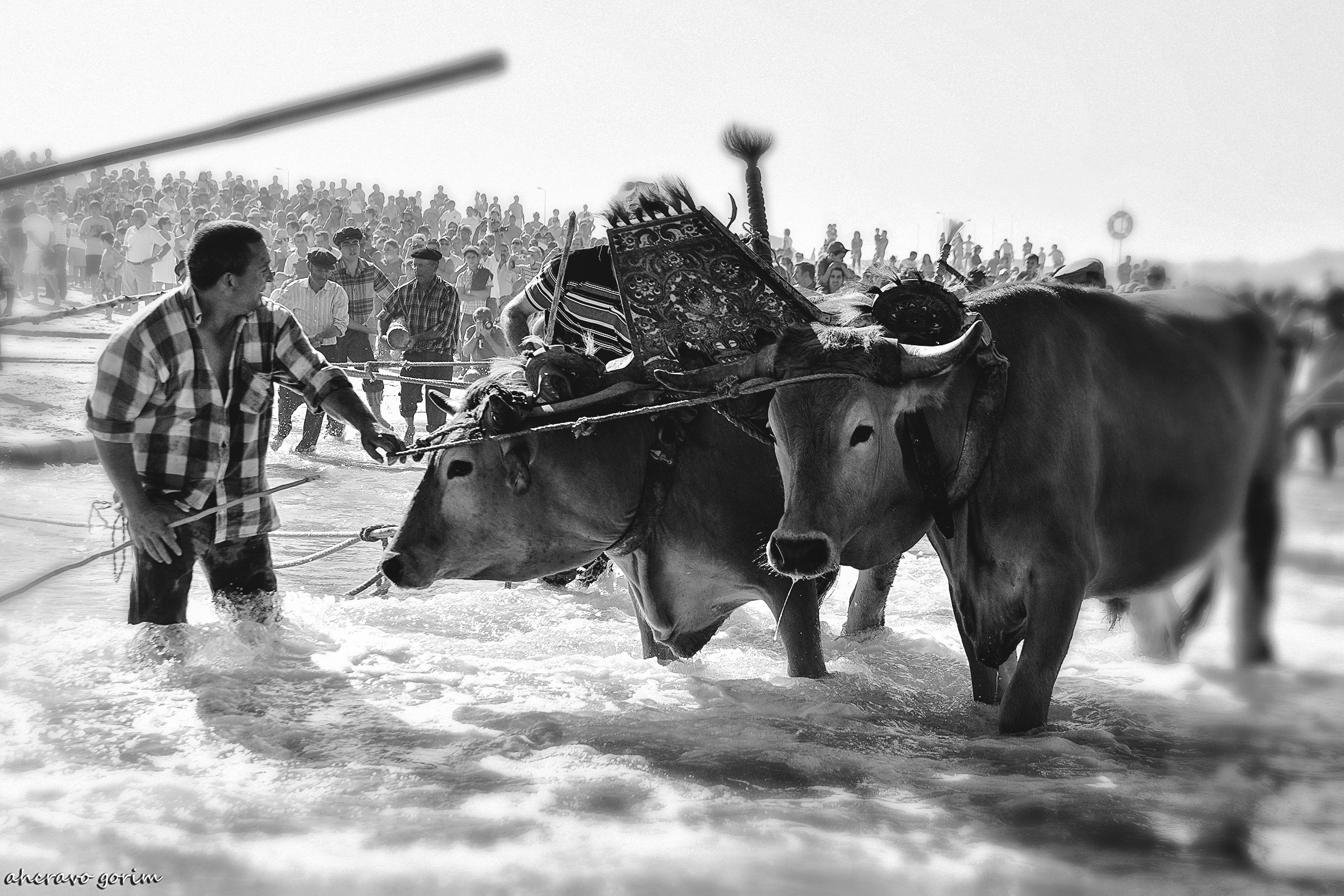 0 ahcravo_dsc_2710 bw