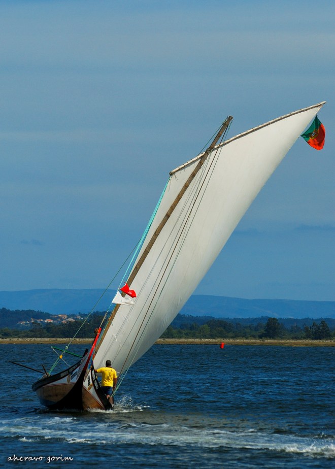0 ahcravo_ DSC_6830 regata moliceiros bico