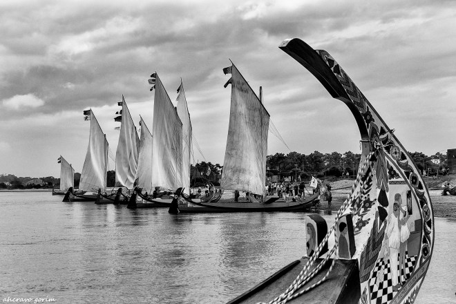 0 ahcravo_DSC1486 bw1