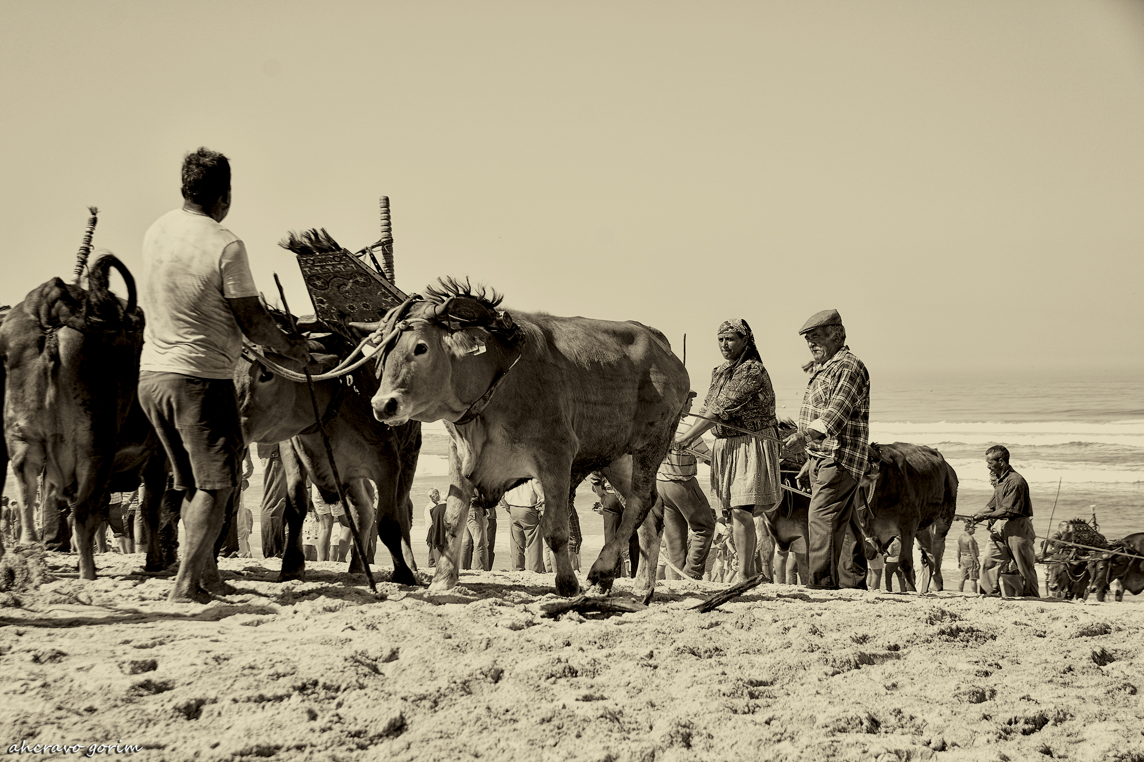 0 ahcravo_DSC_2904 sepia