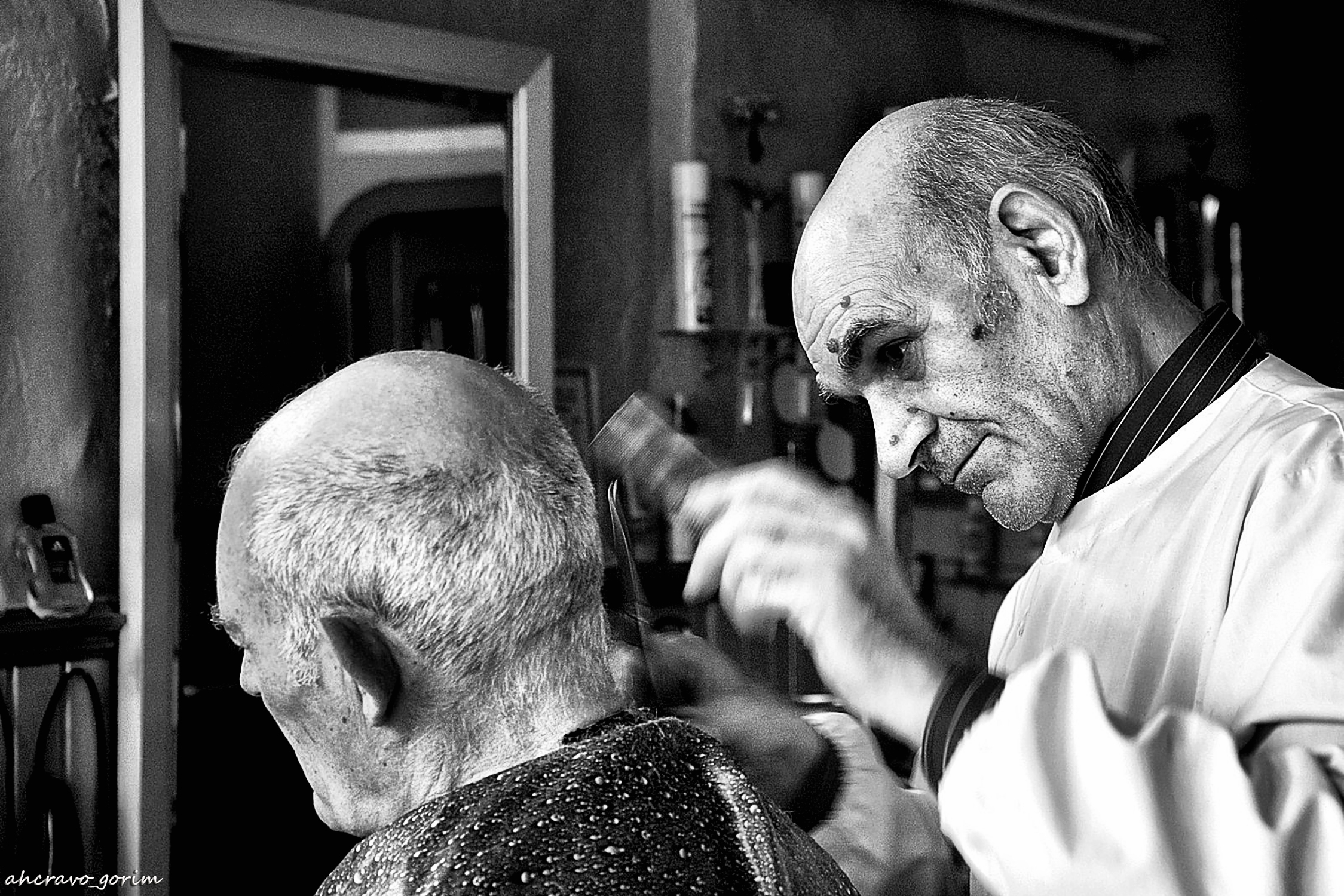 0 ahcravo_DSC_3589_barb figueira