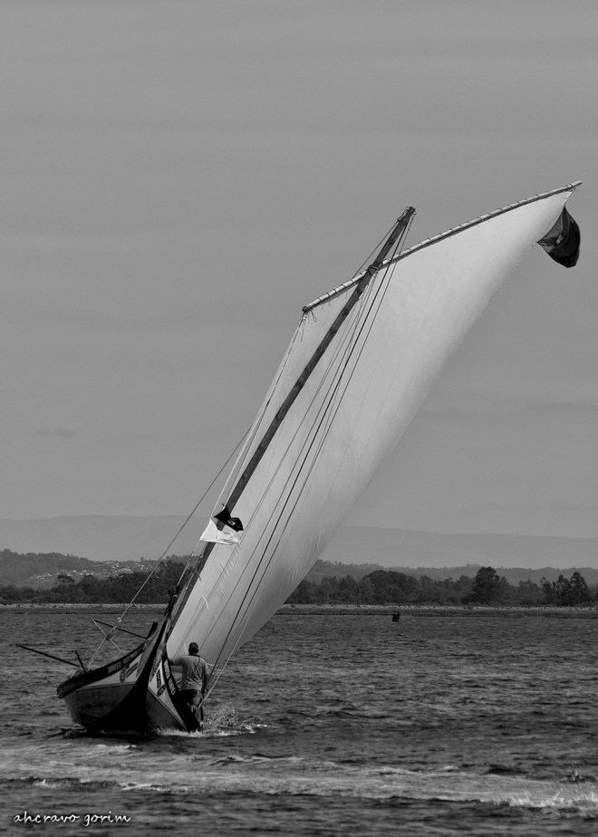 0 ahcravo_DSC_6830 regata moliceiros bico bw
