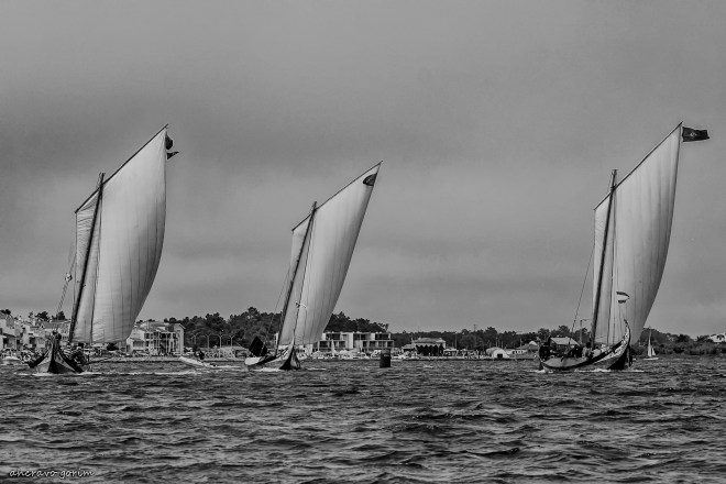 0 ahcravo_DSC_2027 bw1