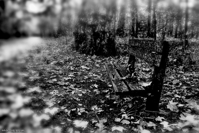 0 ahcravo_DSC_3736 bw