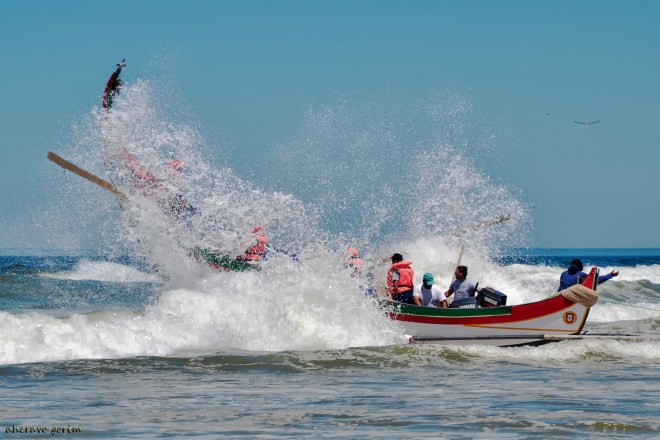 0 ahcravo_DSC_6428 s