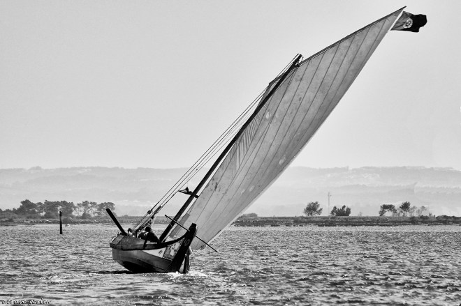 0 ahcrav_ DSC_6285 regata moliceiros shbw