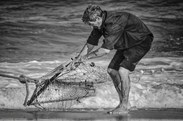 crónicas da xávega&nbsp;(301)