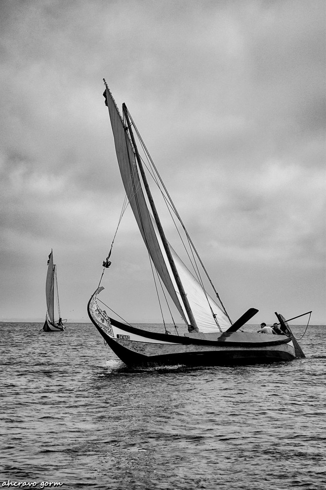 0 ahcravo_DSC4844 bw