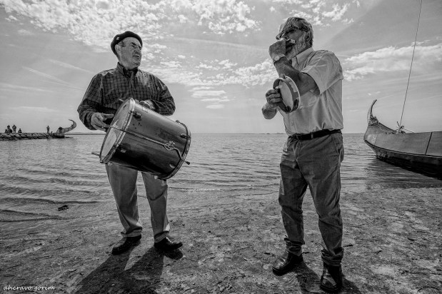 os moliceiros têm vela&nbsp;(353)