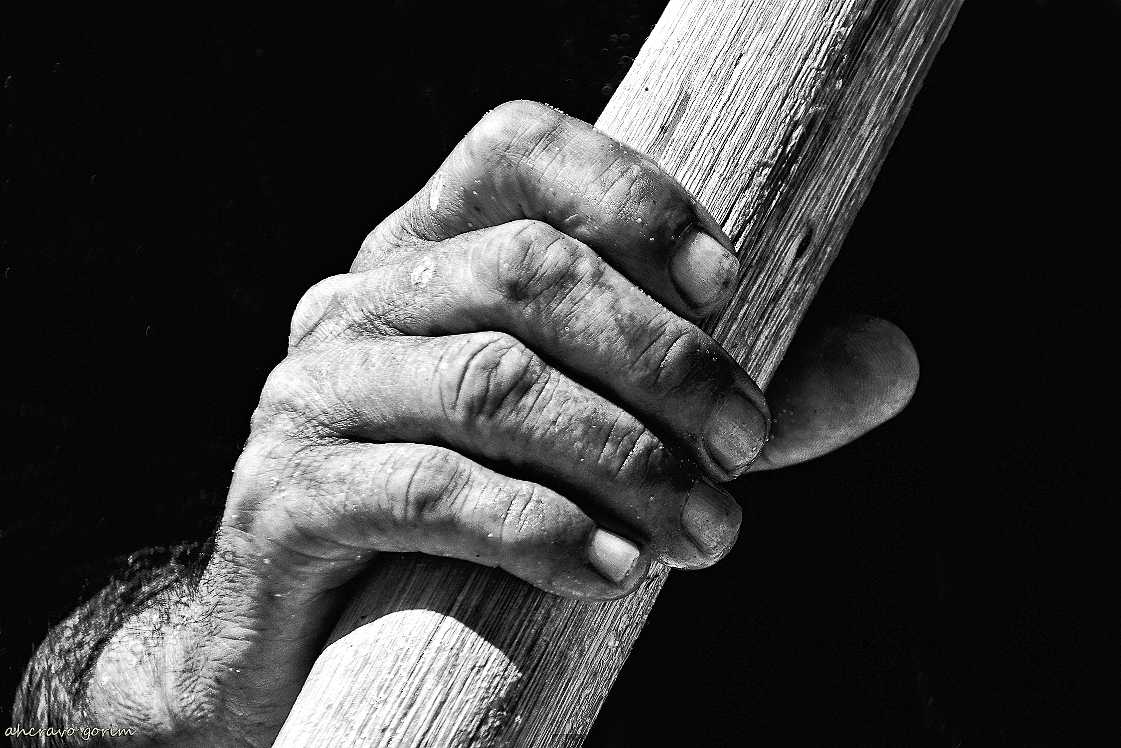 ahcravo_DSC_6269 s.jpg