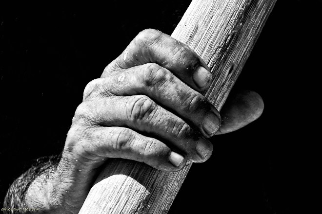 ahcravo_DSC_6269 s.jpg