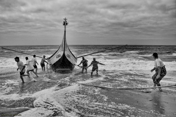 crónicas da xávega&nbsp;(305)