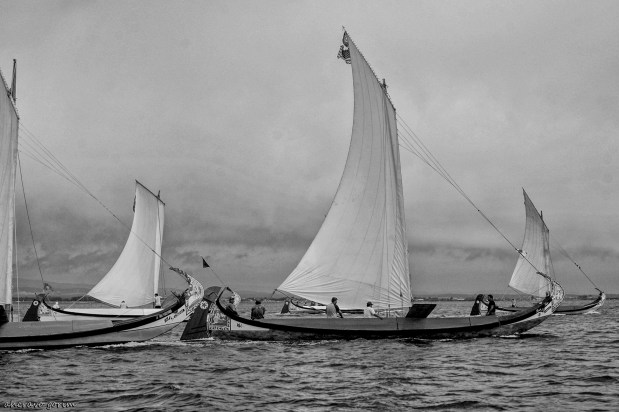 os moliceiros têm vela&nbsp;(360)