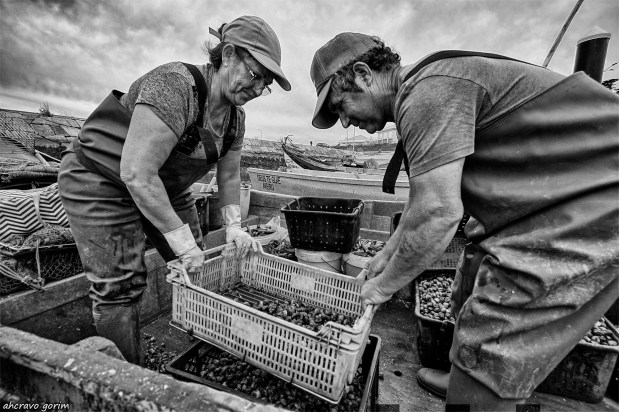 postais da ria&nbsp;(308)