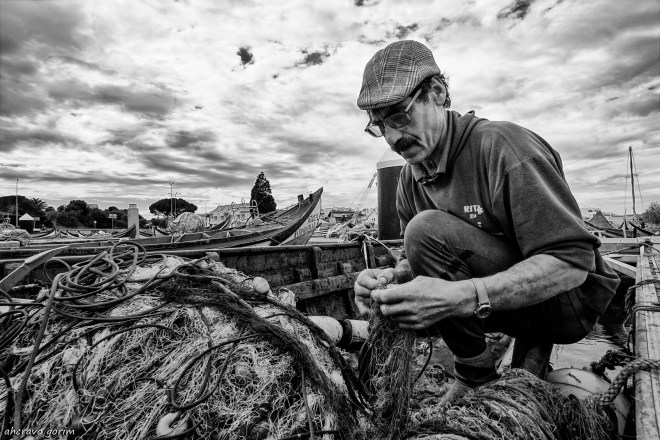 0 ahcravo_DSC7678.jpg