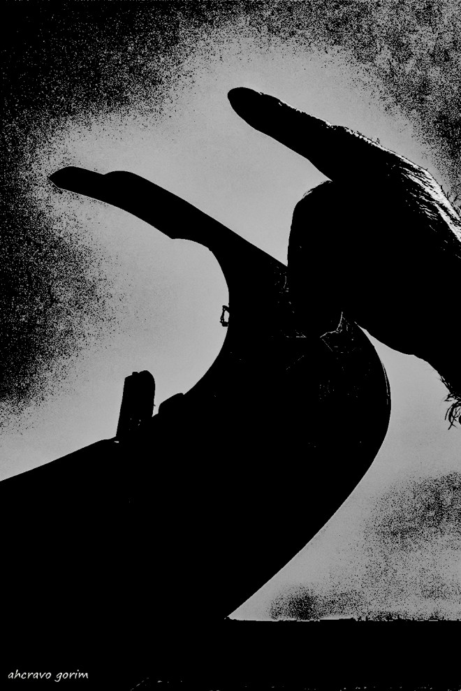 0 ahcravo_DSC8632_1rad