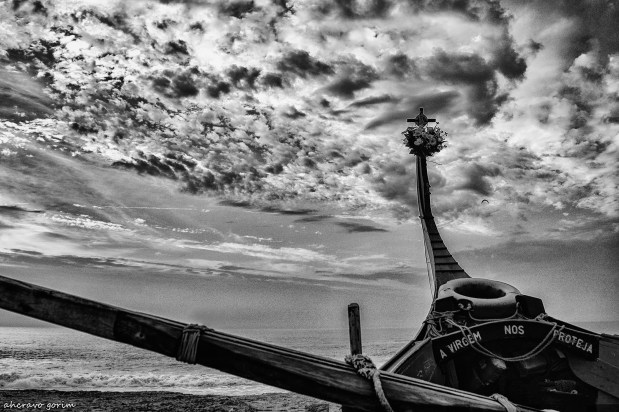 crónicas da xávega&nbsp;(309)