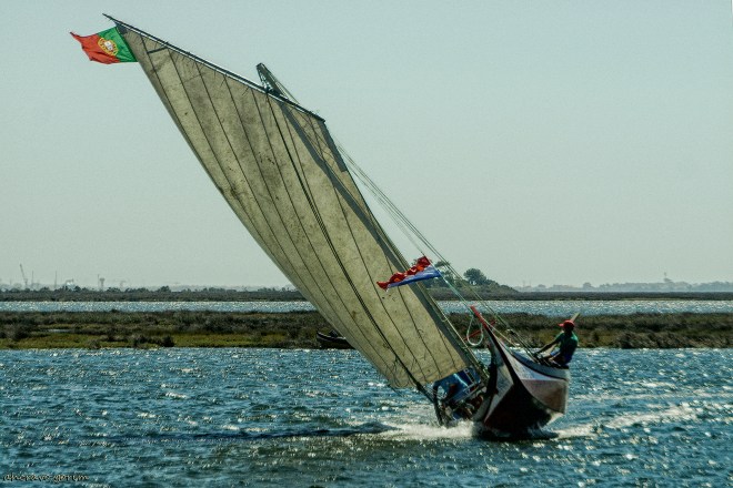 0 ahcravo_DSC_4221 s1